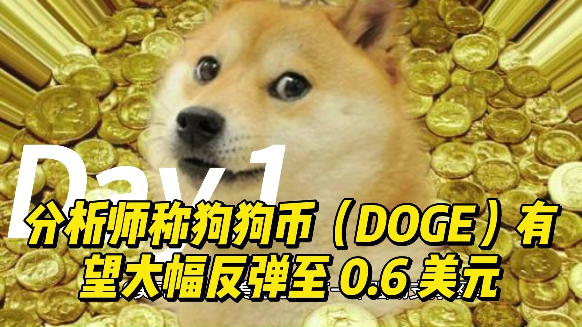 狗狗币突遭安全漏洞，流失高达LDO万美元